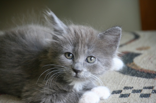 2023年7月13日动土好不好 可以破土吗