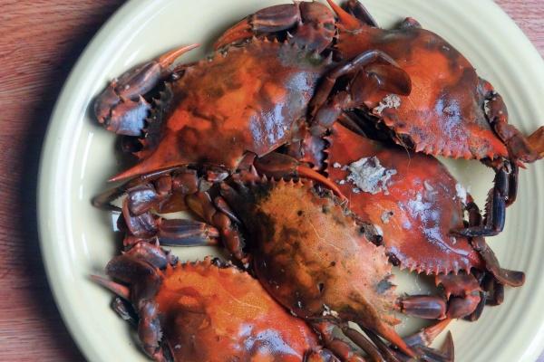 唐立淇 12星座一周运势2023.6.26—7.2