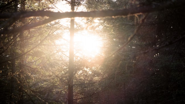 苏珊大妈天蝎座2023年7月运势详解