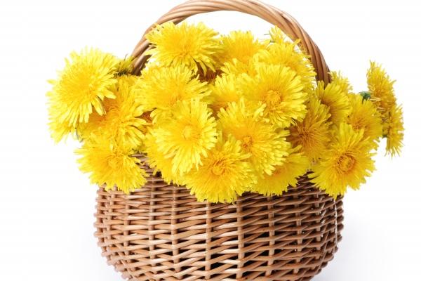 狂月天时 12星座一周简运2023/06/26-07/02