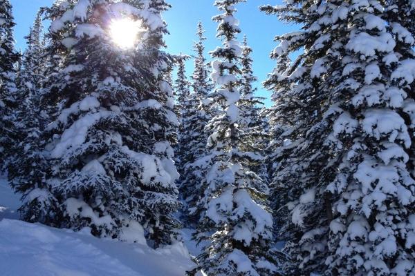 唐立淇 每日12星座运势6.26
