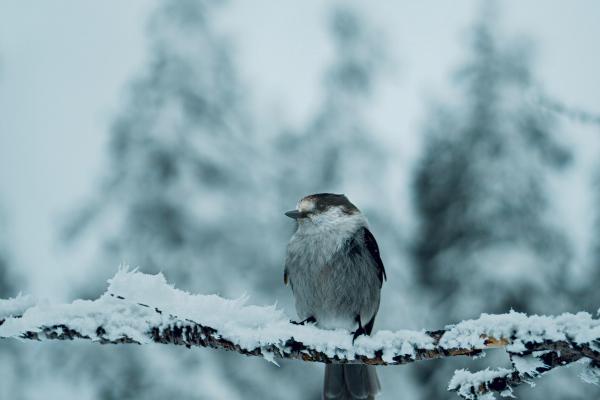 2023年7月14日出门好不好 出门怎么样