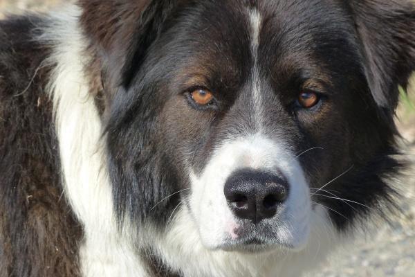 双子和天蝎既是绝配又是死克?其实只有这3种情况!