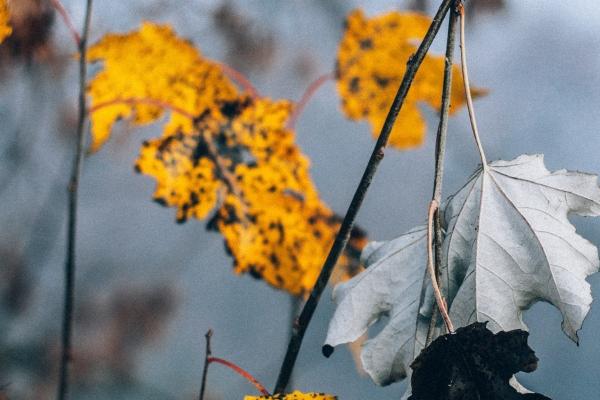 2023年7月19日出行吉时 出行吉利吗