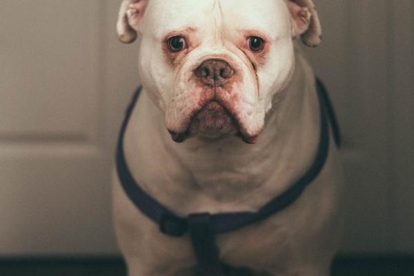 唐绮阳射手座2023年7月运势详解