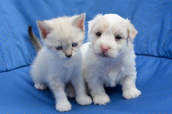 苏珊米勒 今日星座运势查询6.28