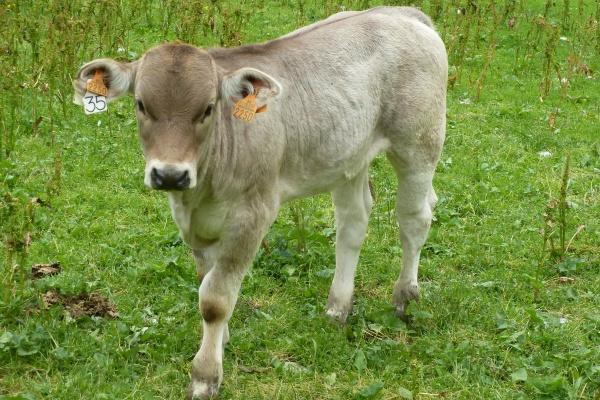 2023年下半年,十二星座谁的事业运飙升,职场大翻盘?