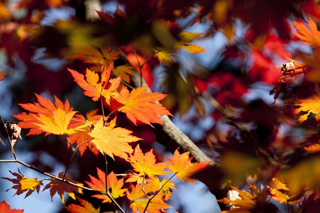 2023年7月3日安门好吗 今日安门吉时查询