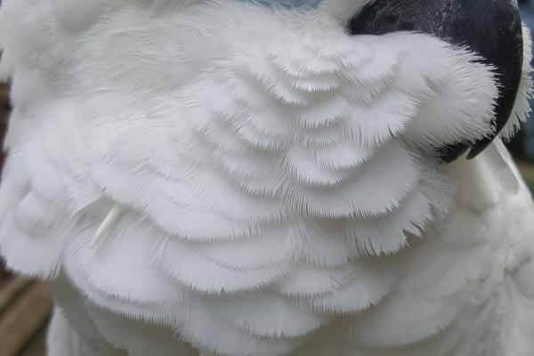 2023年7月22日动土好不好 适合建房子吗