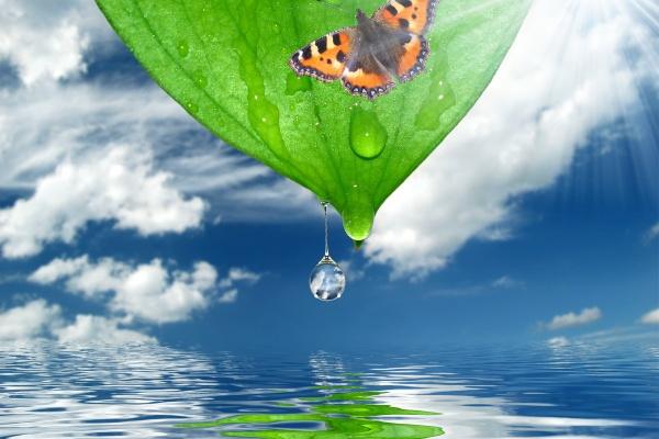 降的住水瓶男的女人,什么星座女最能拿捏水瓶男