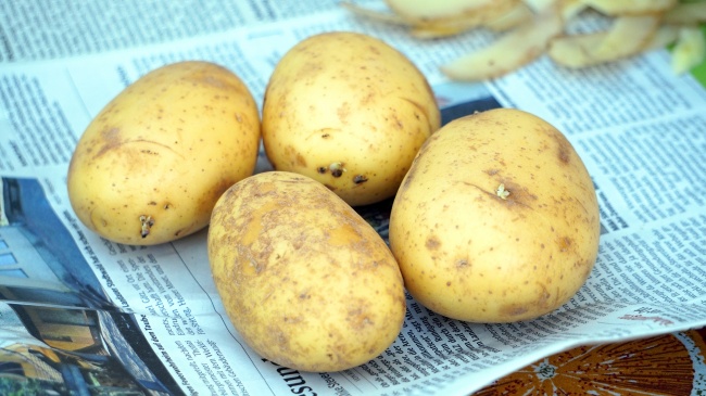 2023年7月5日吉时是几点 最吉利的时间