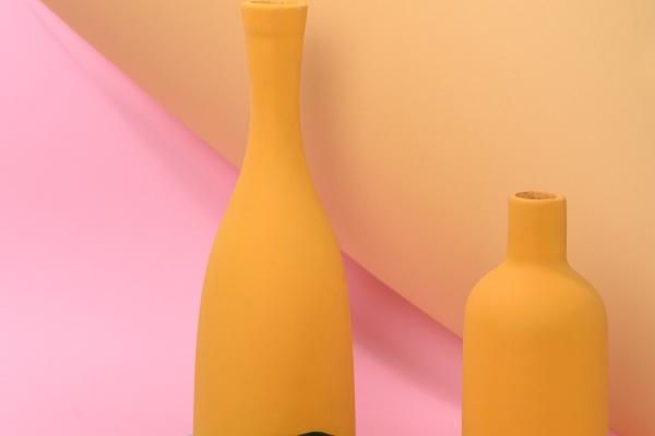 十二星座代表的花神 12星座知识介绍!