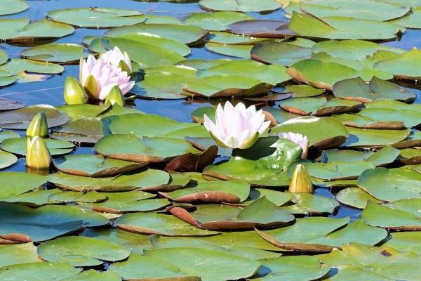 2023年7月1日宜安门吗 宜安房门吗