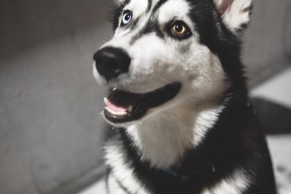 2023年7月22日出行吉时 出门怎么样