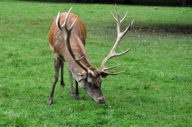 2023年7月24日宜动土吗 是动土的好日子吗