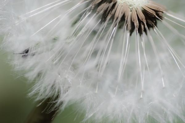 摩羯座7月份运势2023年 2023年7月摩羯座运势详解