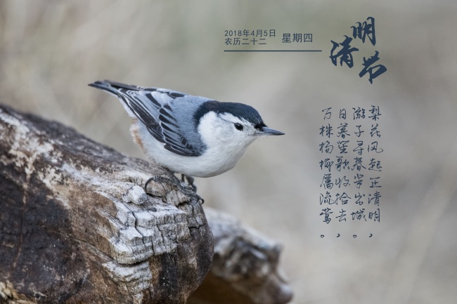 2023年7月5日开业好吗 是不是黄道吉日