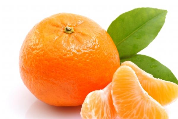 "蛮横不让的生肖强者!解析四大生肖的不妥协态度与绝不服输的气魄!"