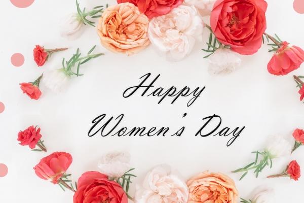 2023年属兔是木命吗 属兔木命好不好