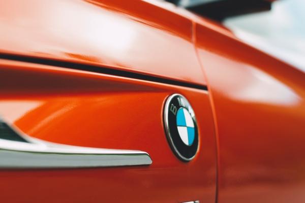 2023年兔宝宝五行属什么 五行兔哪种兔最好