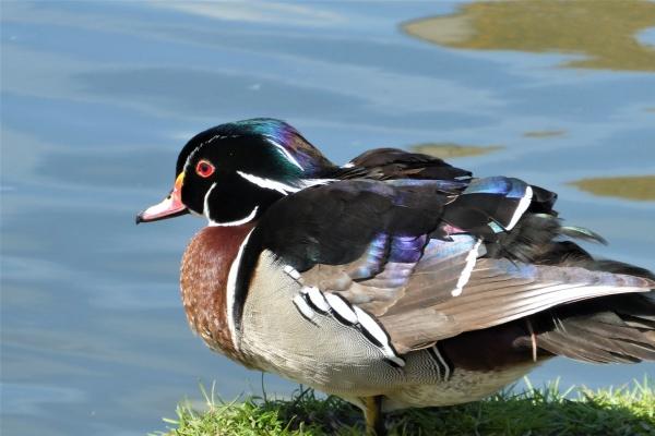 探寻2023年下半年,12星座谁将步入人生巅峰?