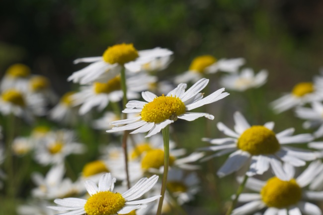 梦到一堆破碗有什么预兆