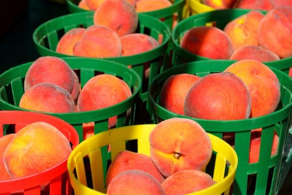 四个字的公司名称有哪些 简单大气四字公司名字