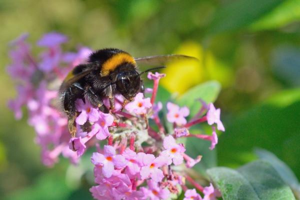 2023年下半年,十二星座们会迎来事业逆袭吗?