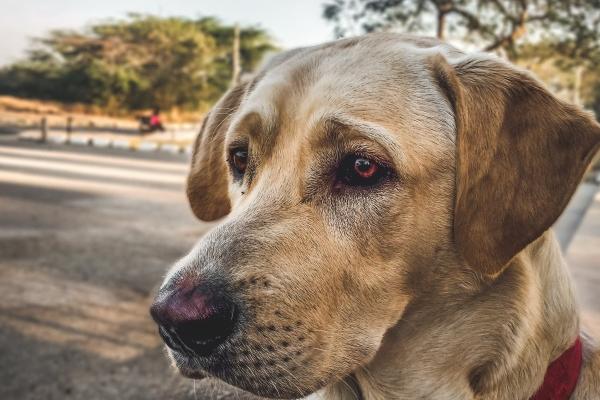 闹闹女巫 12星座本周运势详解0703-0709