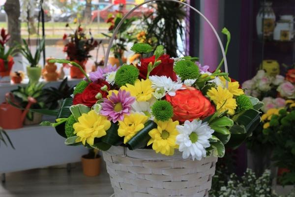 狂月天时 0705每日星座运势