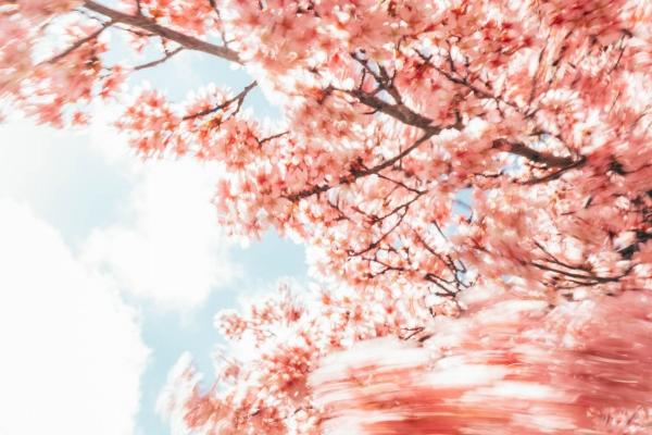 判答 12星座周运详解7.2—7.9