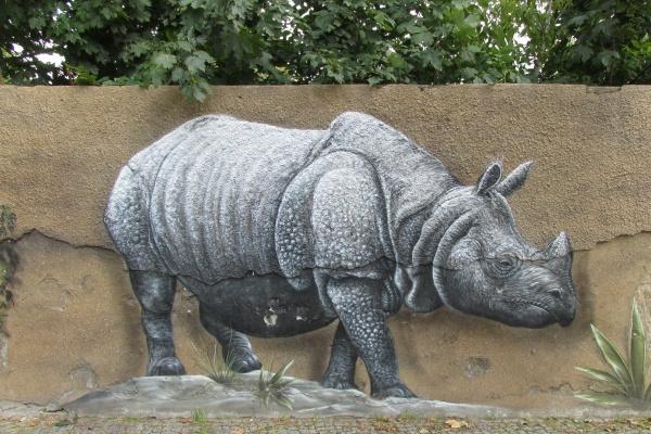 百变巫女 12星座本周运势7.3-7.9