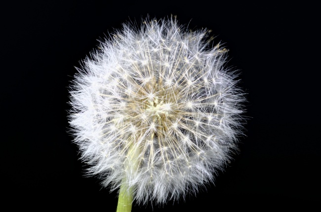 2023年7月11日适合安门吗 安门怎么样