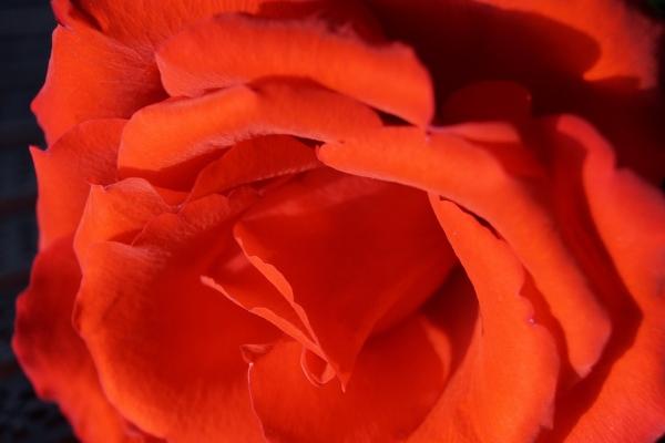 2023年7月12日可以安门吗 是安装门户吉日吗