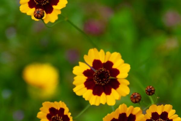 2023年7月27日动土好吗 今日动土好不好