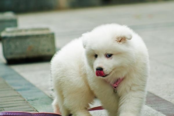 2023年7月27日出行吉时 是出门的好日子吗