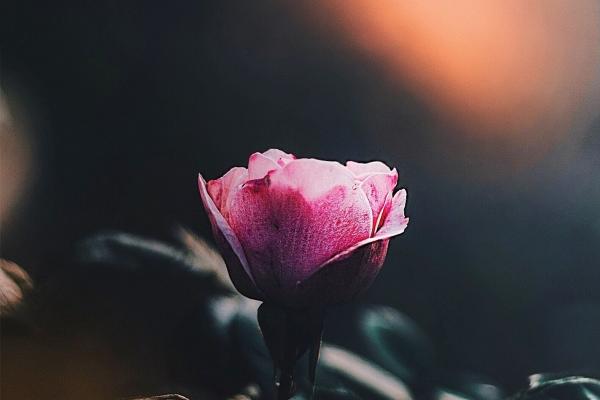 2023年7月12日开业黄道吉日查询 开业做生意好不好