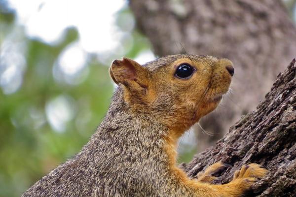 2023年7月13日可以提车吗 日子吉利吗
