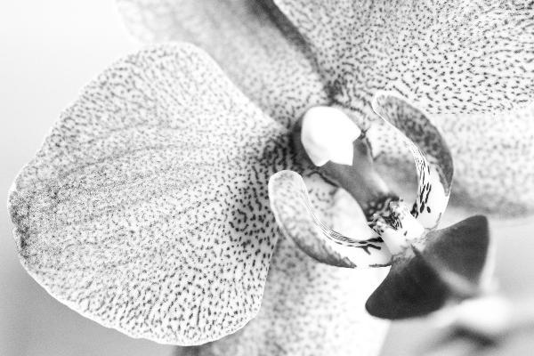 2023年7月16日装修开工好吗 是不是装修最佳日期