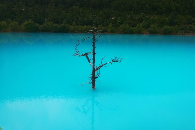 狮子座为什么要远离水瓶座?相爱容易相处难!