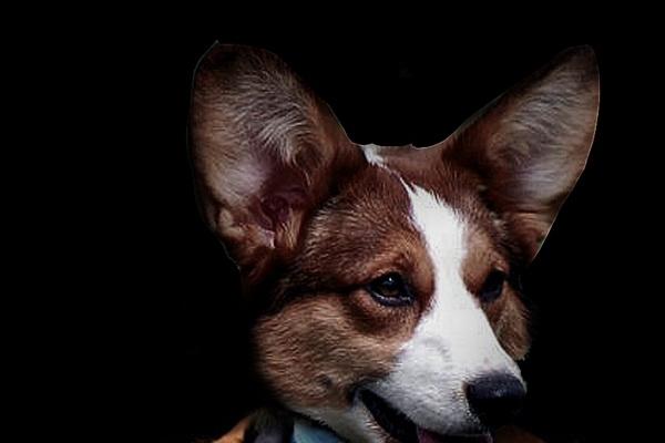 2023年7月23日开业好不好 大暑是开业吉日吗