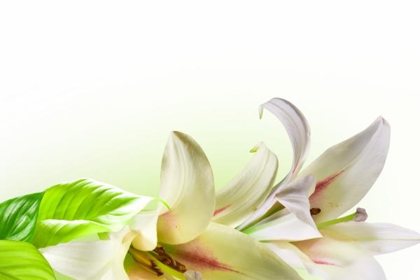 2023年7月13日开业好吗 开门做生意好吗