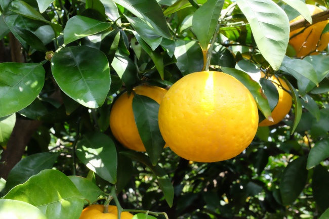 小三斗不过的星座女?每个星座都有佼佼者