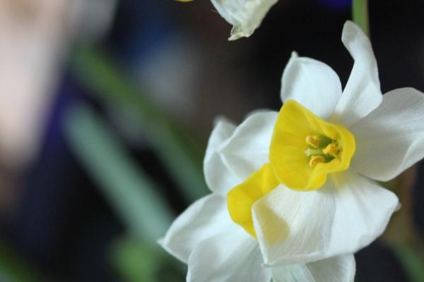 二婚才是正缘的日柱 注定二婚八字