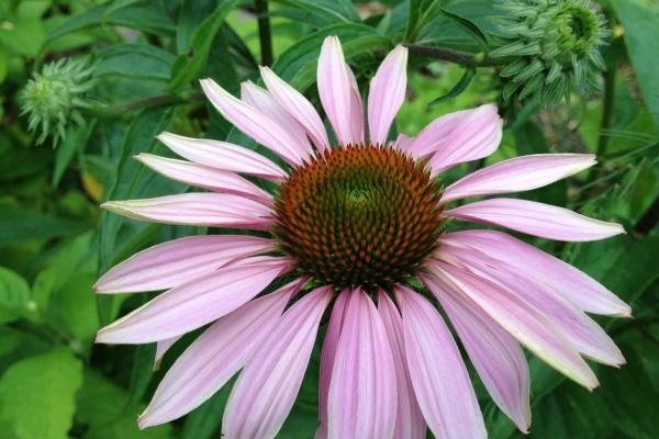 风象星座哪个最迷人 分别都是怎么迷人的