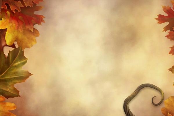 2023年7月19日适合提车吗 是不是黄道吉日