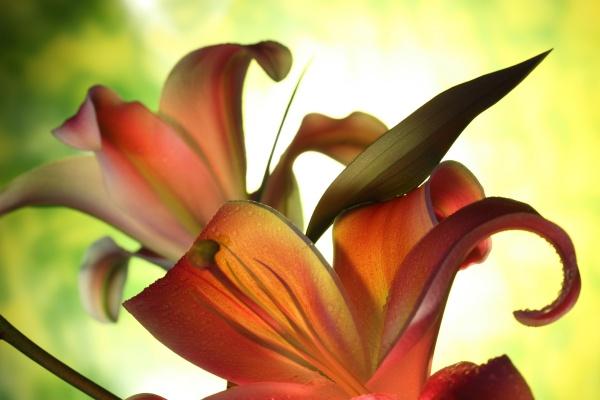 狂月天时 0707每日星座运势