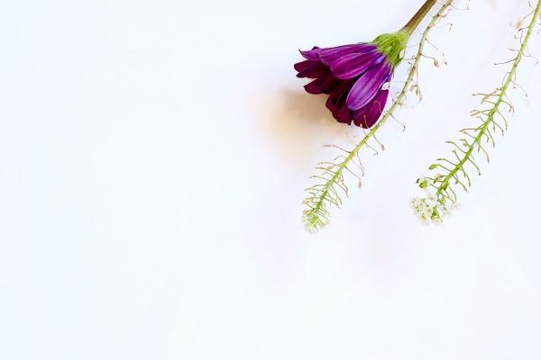 2023年7月21日五行穿衣旺运 穿什么颜色衣服适合