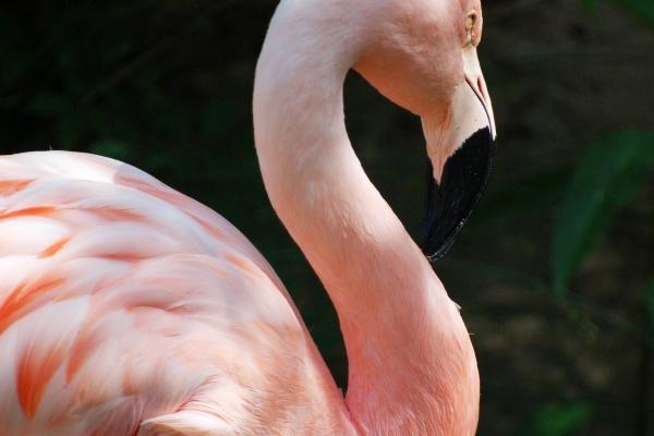 2023年7月18日五行穿衣颜色 穿什么颜色衣服适合