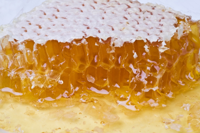 苏珊米勒 今日星座运势查询7.7